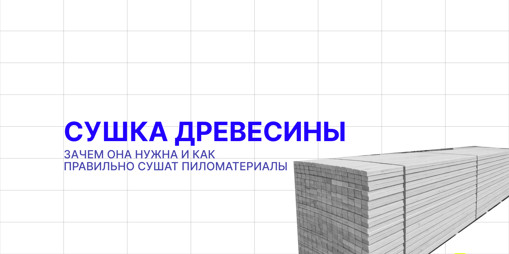 все о сушке древесины